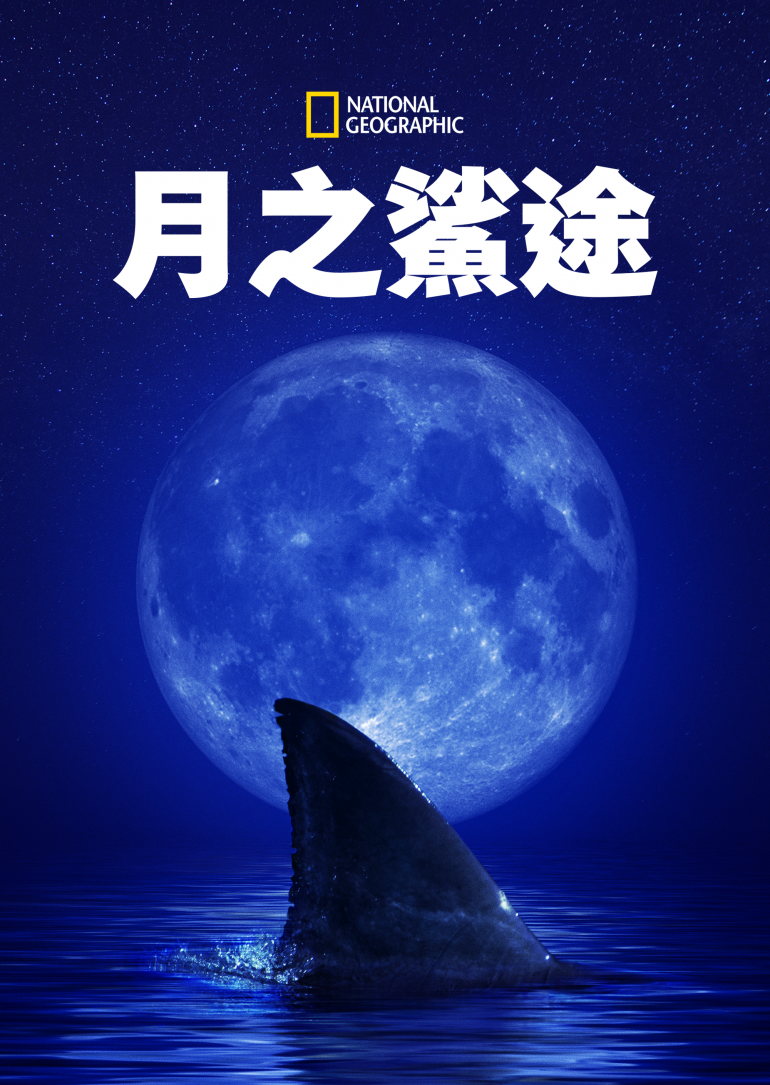 Shark Side of the Moon(月之鯊途).png