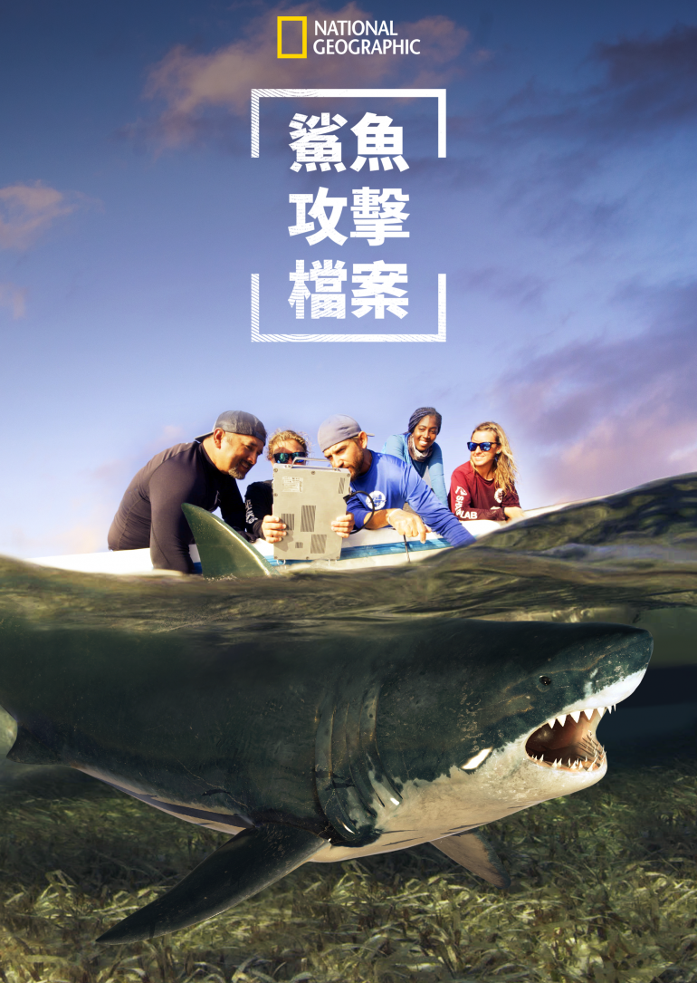 Shark Attack Files S01(鯊魚攻擊檔案 第一季).png