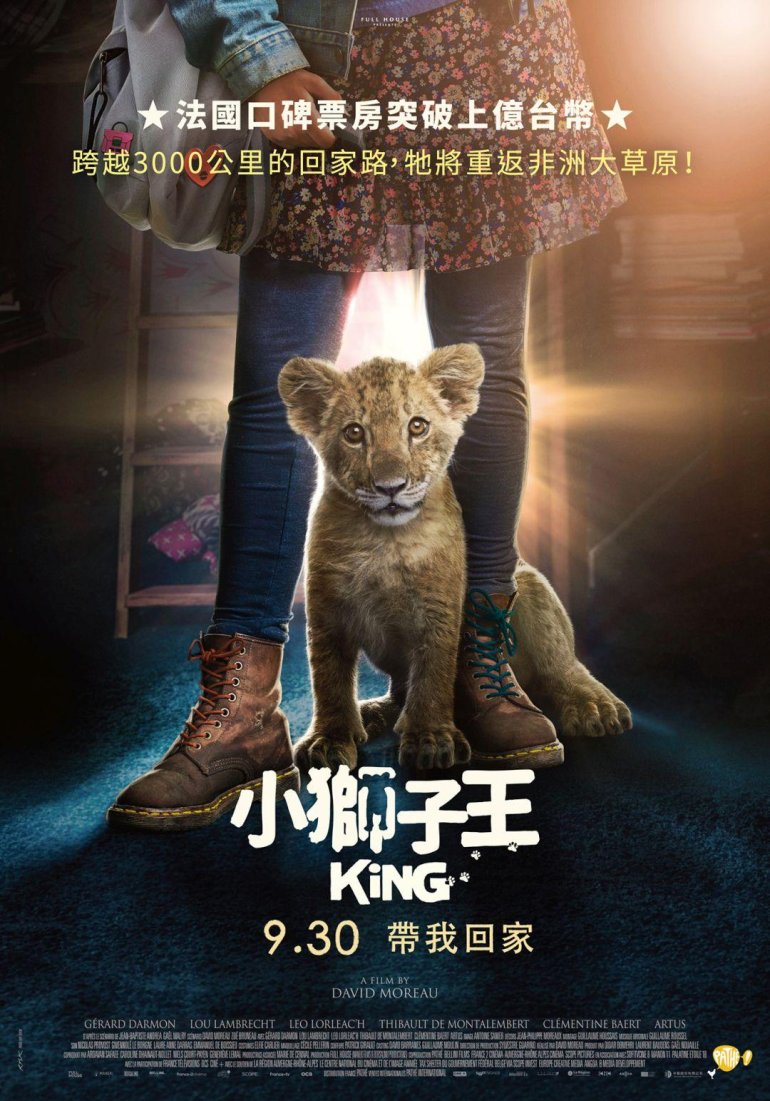 小獅子王 King.jpg