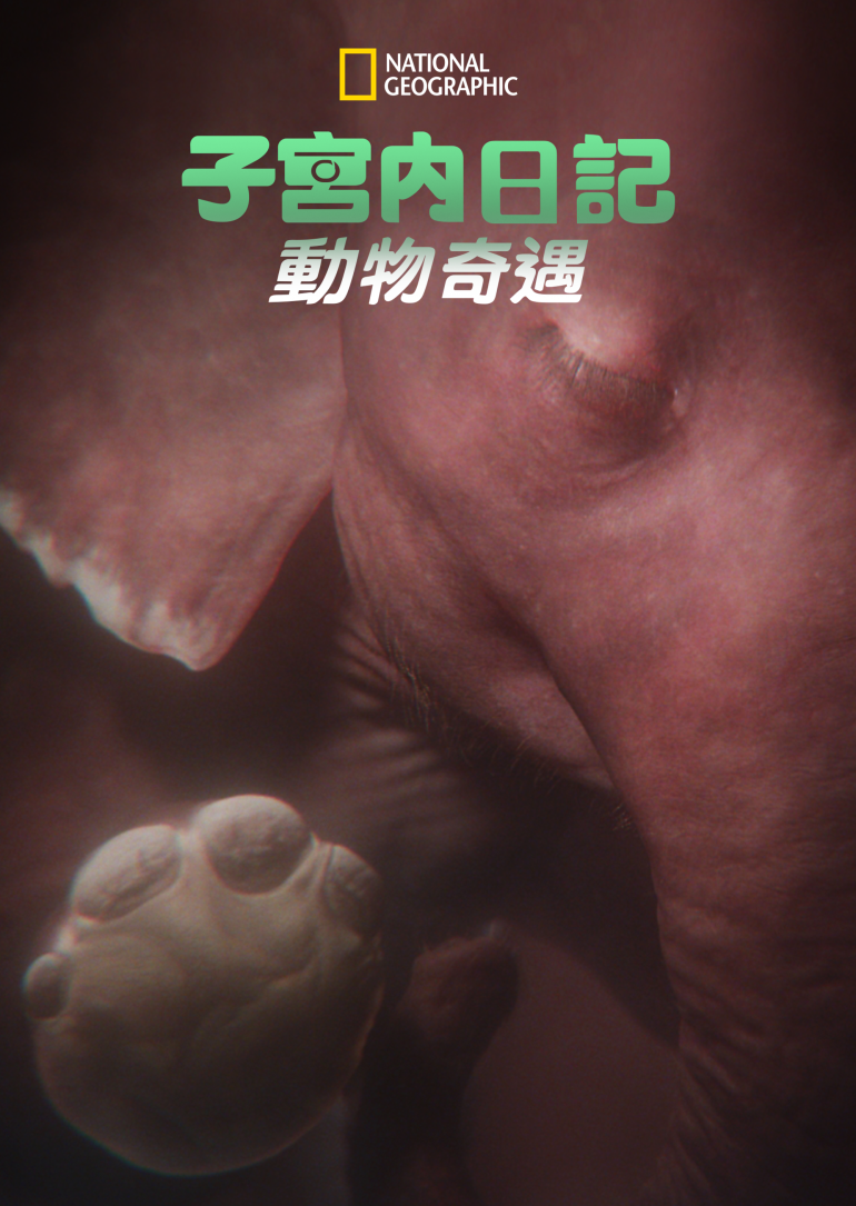 In The Womb：Animal Babies(子宮內日記：動物奇遇).png