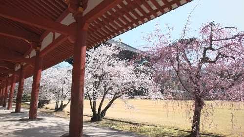 822FBEAB-CD3F-4FEB-A901-EE779C1050D3.jpeg