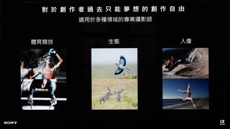 a93.010.jpeg