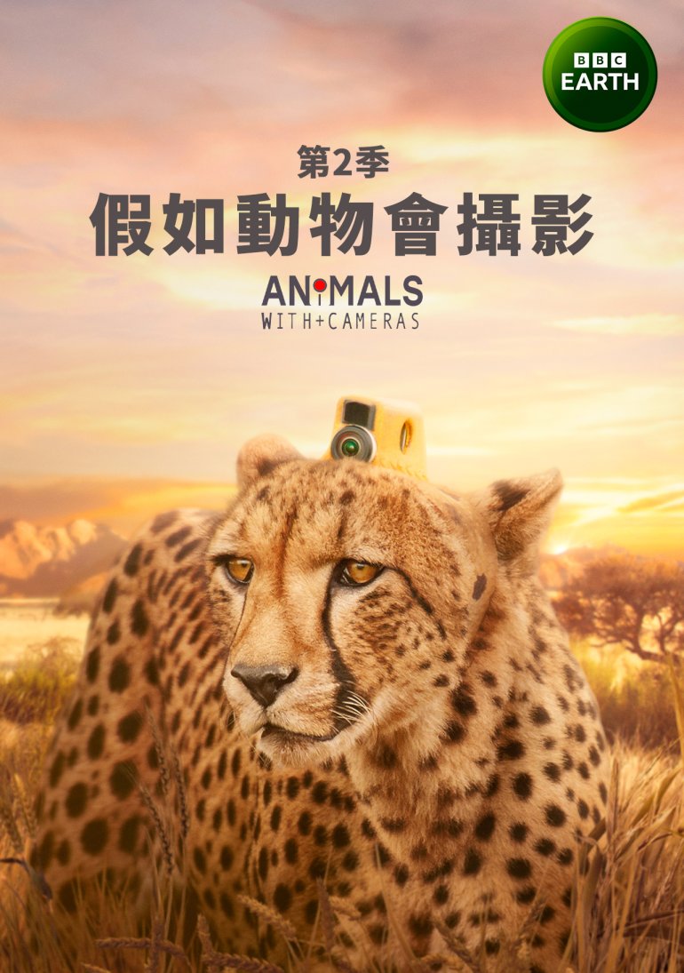 Animals with Cameras S02(假如動物會攝影 第二季).jpg
