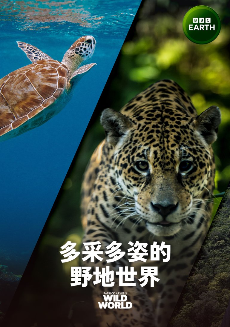 Patrick Aryee's Wild World S01(多采多姿的野地世界 第一季).jpg