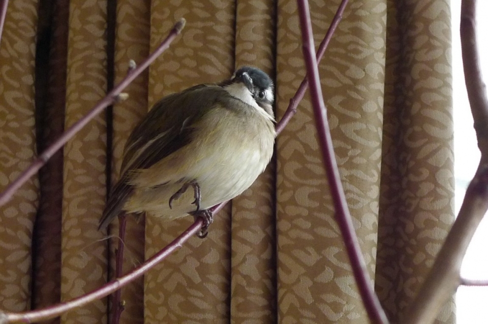 L1030154.JPG