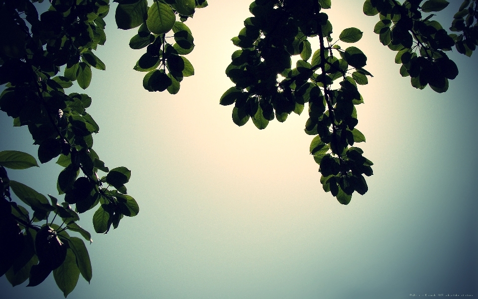 HD Wallpapers Wide Pack #13 (20).jpg