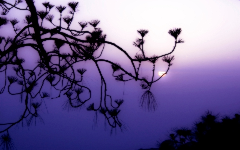 HD Wallpapers Wide Pack #16 (3).jpg