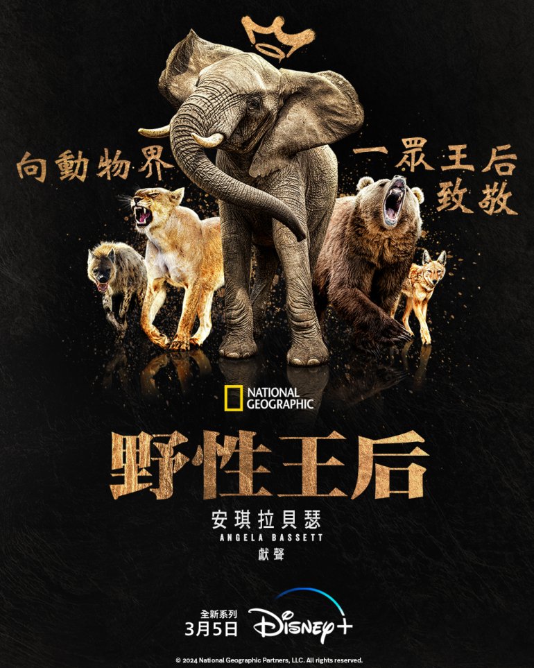野性王后.jpg