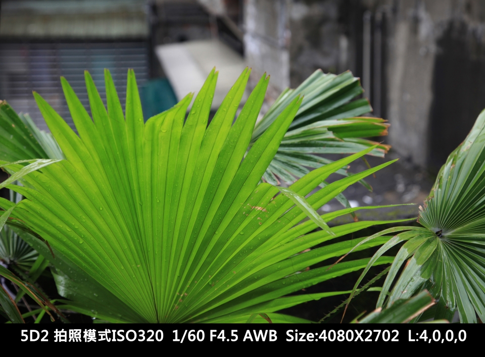 IMG_1042_1920.jpg