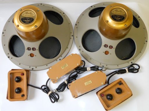 ek_tannoy-orbitus-monitor-gold-12inch-8.jpg