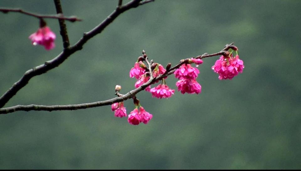 Image00006.jpg