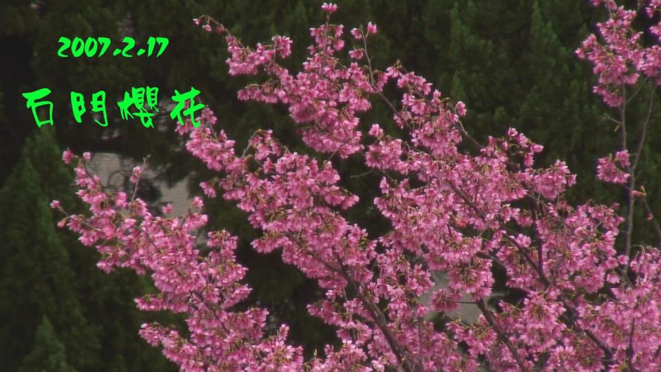 影像0.jpg