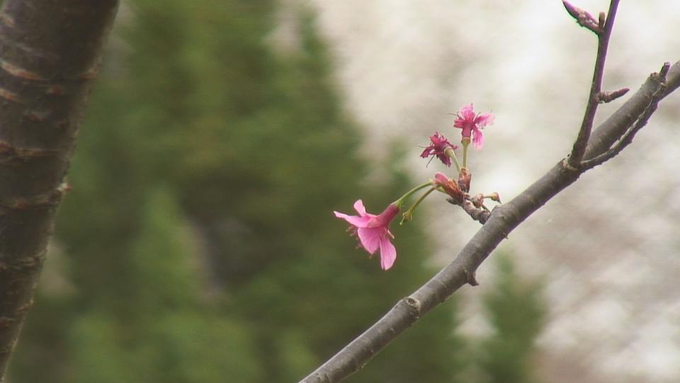 影像1.jpg