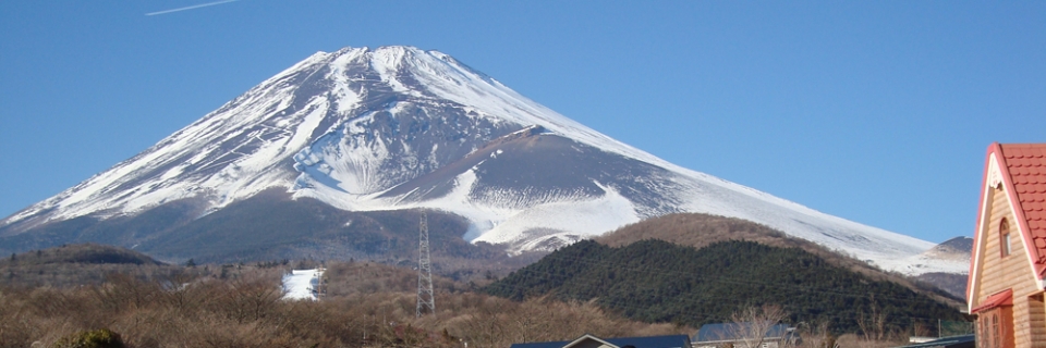 01.jpg