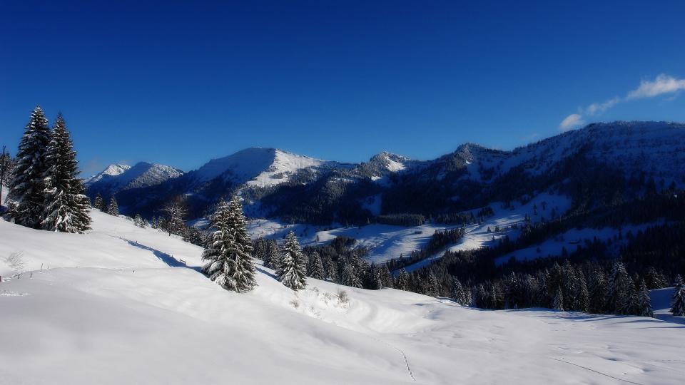 Alpine Sight.jpg