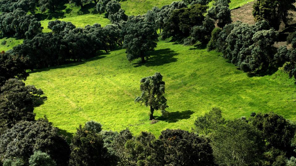 Deep Green.jpg