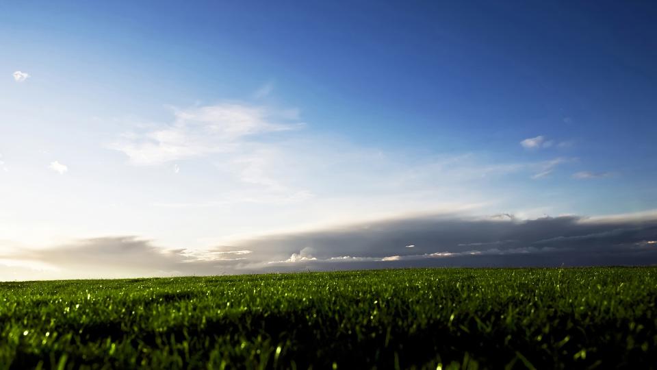 Green Fields of Sweden.jpg